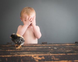 Baby Chick Portraits