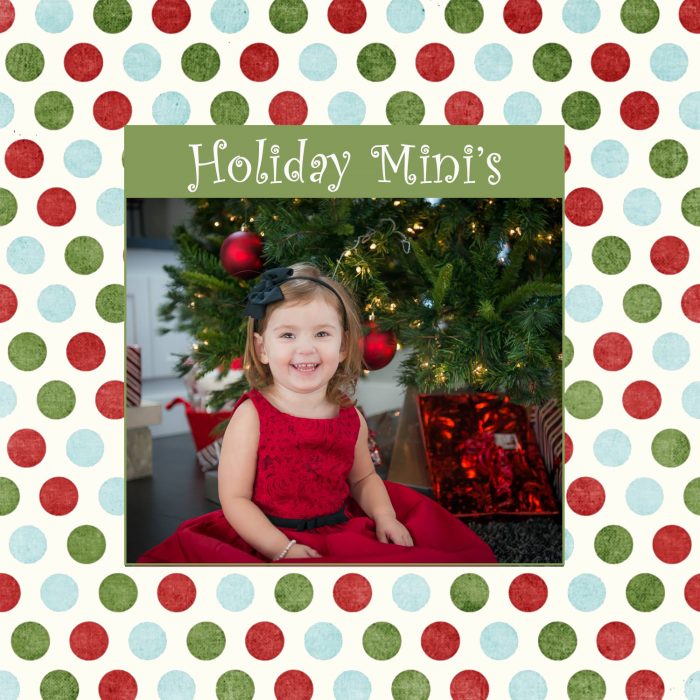 Now Booking Holiday Mini Sessions